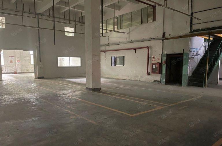 龙华大浪工业园一楼1000平厂房仓库低价出租层高7米可分租