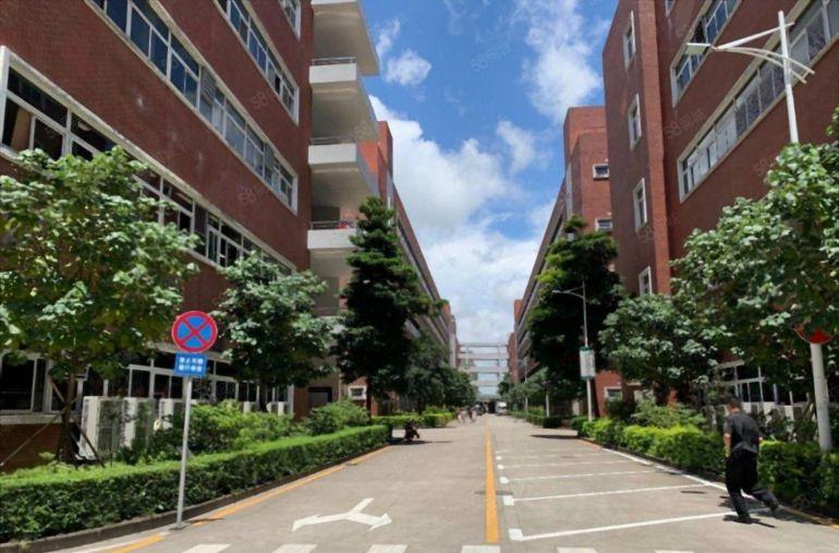 龙华大浪300平起租整层一二楼1500平精装修原房东仓库出租