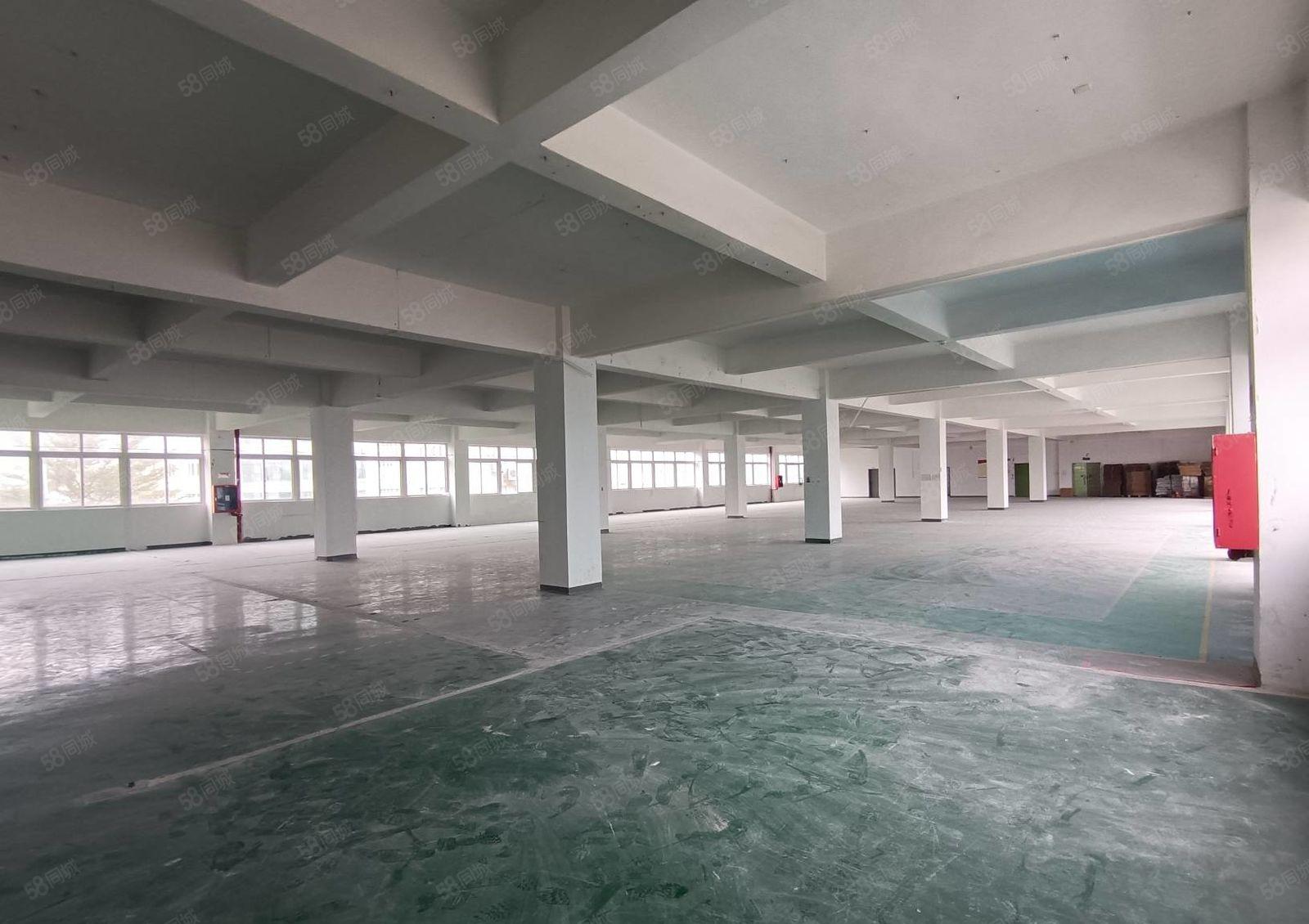 龙华大浪商业中心新出楼上1915平精装厂房出租