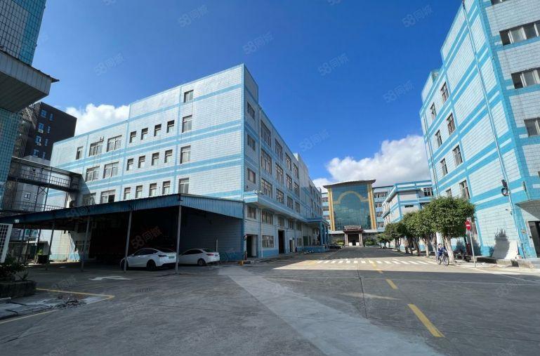 龙华清湖地铁口原房东出租2000平 办公电商仓库