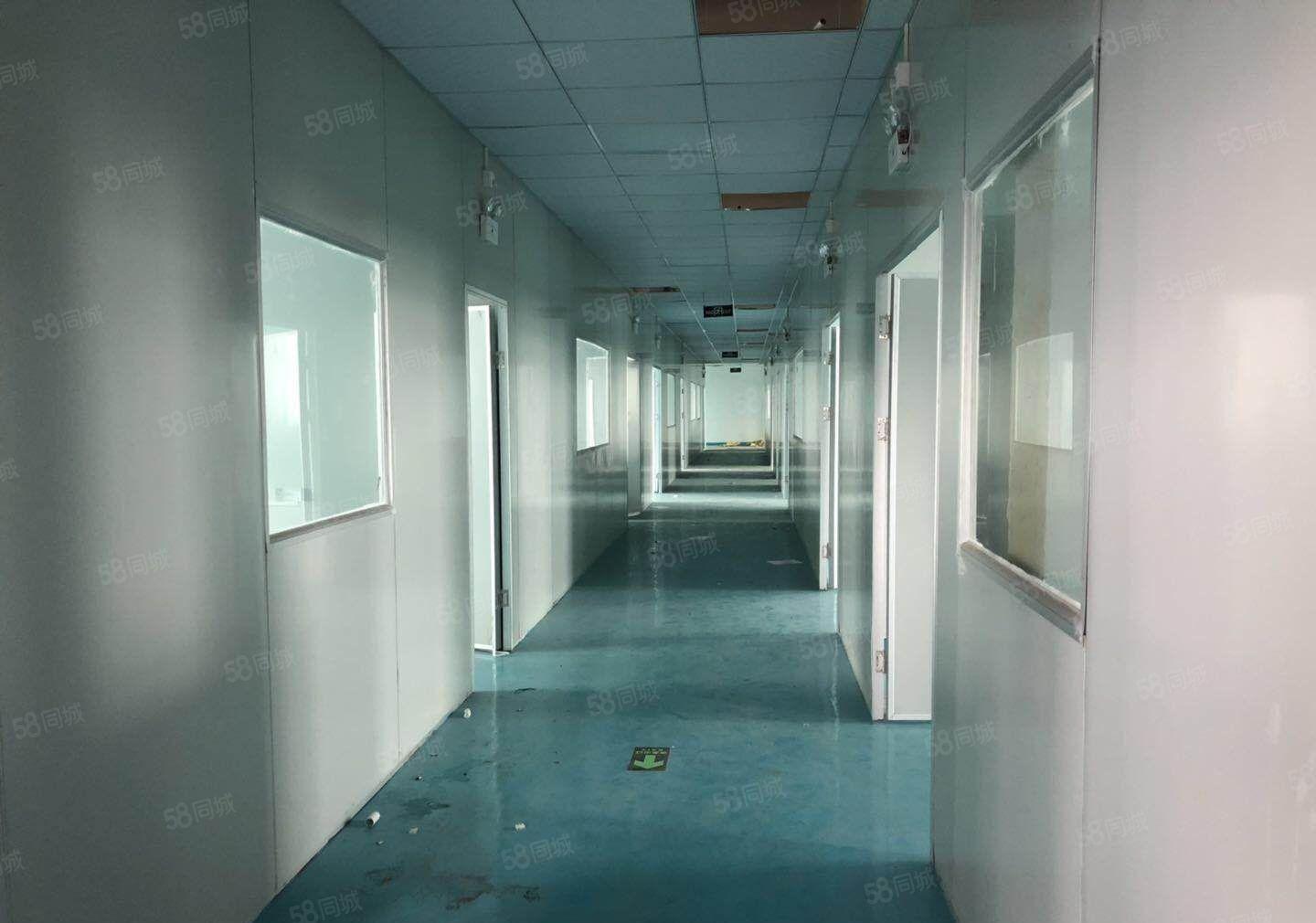 龙华大浪新出二楼550平带装修装修出租