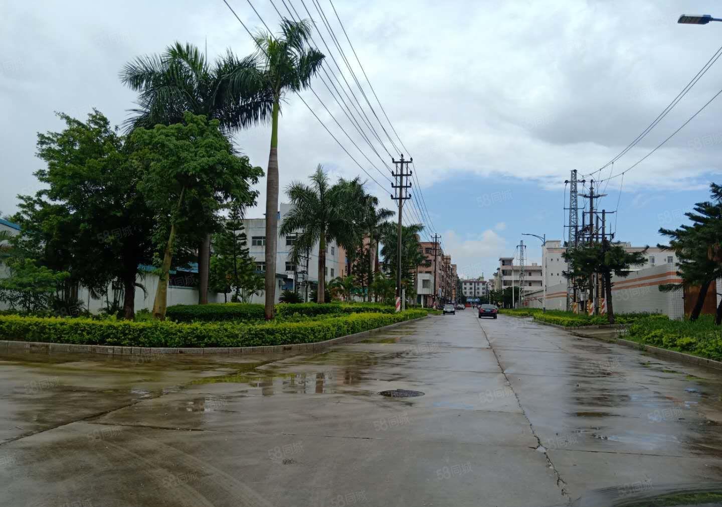 龙华大浪精装修二楼850平厂房出租红本厂房可办环评一房东