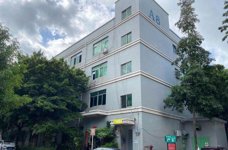 龙华花半里附近新出楼上480平精装修厂房办公室出租