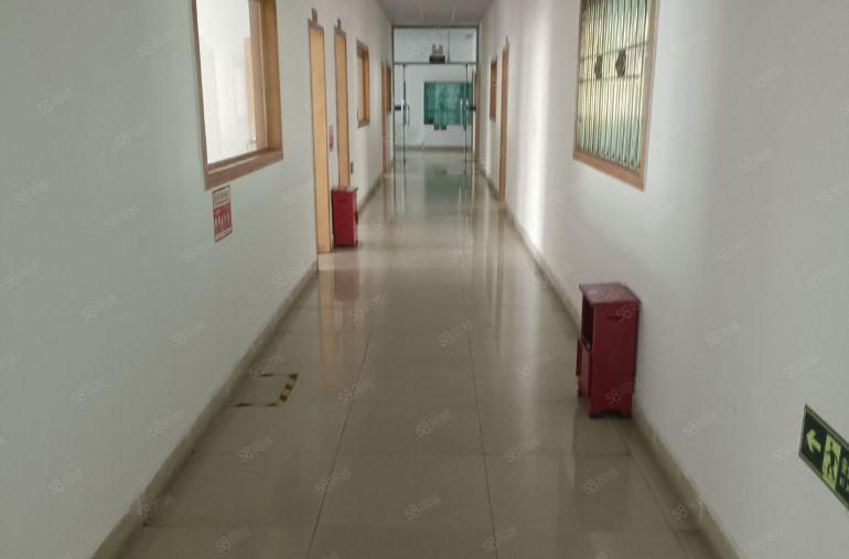 大浪龙大高速旁新出独栋6000平，单层1500平可分租空地大