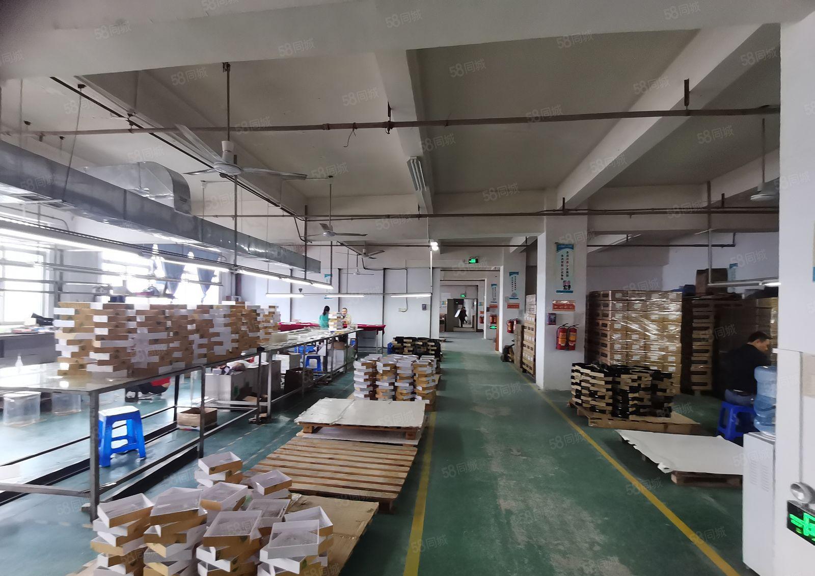 深圳龙华新区观澜原房东标准厂房楼上800平，招租，经济实惠