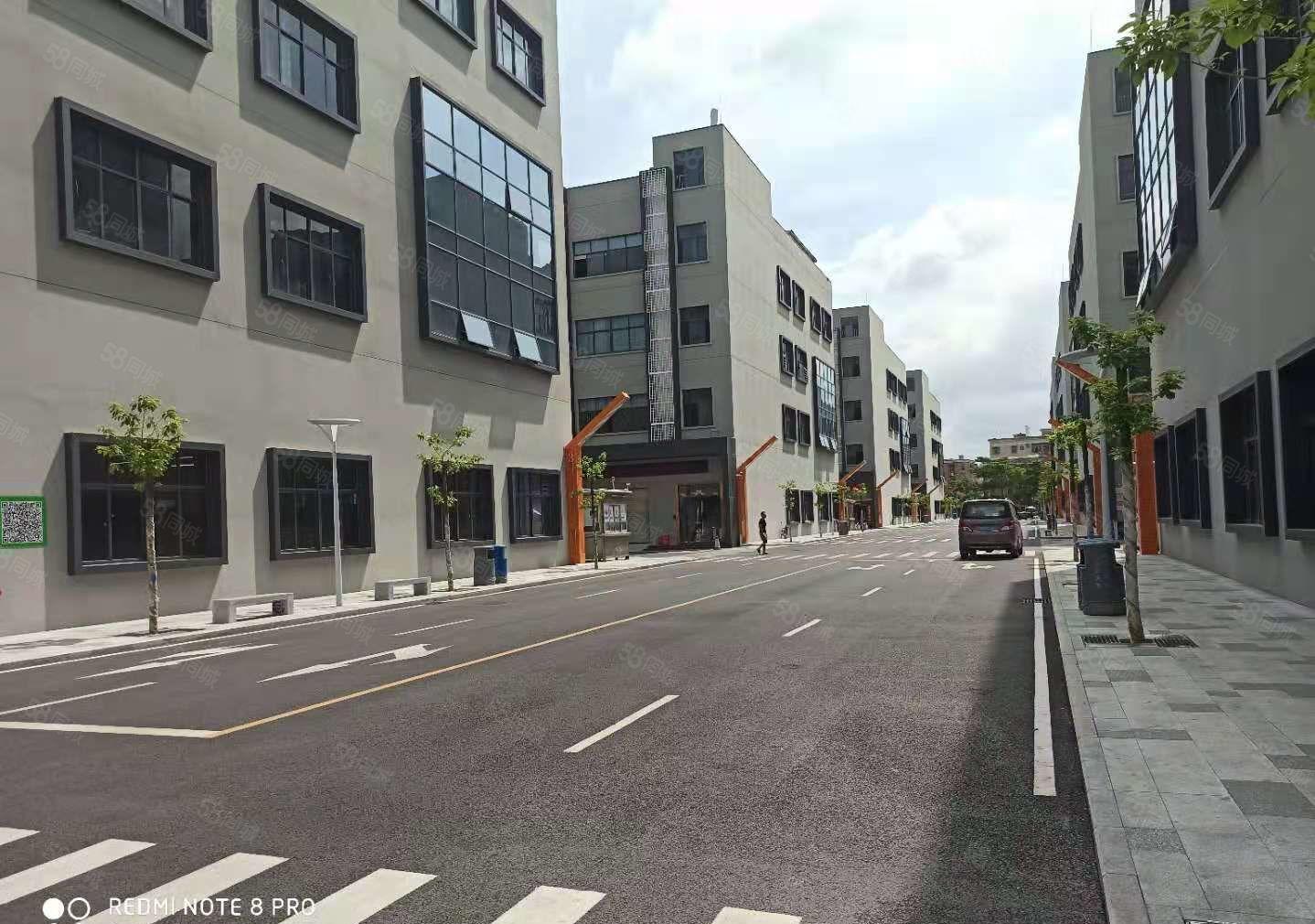 龙华大浪商业中心附近原房东厂房出租整栋8000平，可分租