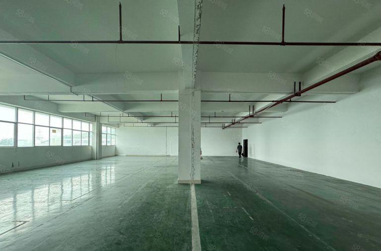 观澜库坑花园式厂房出租原房东 200平起分仓库出租