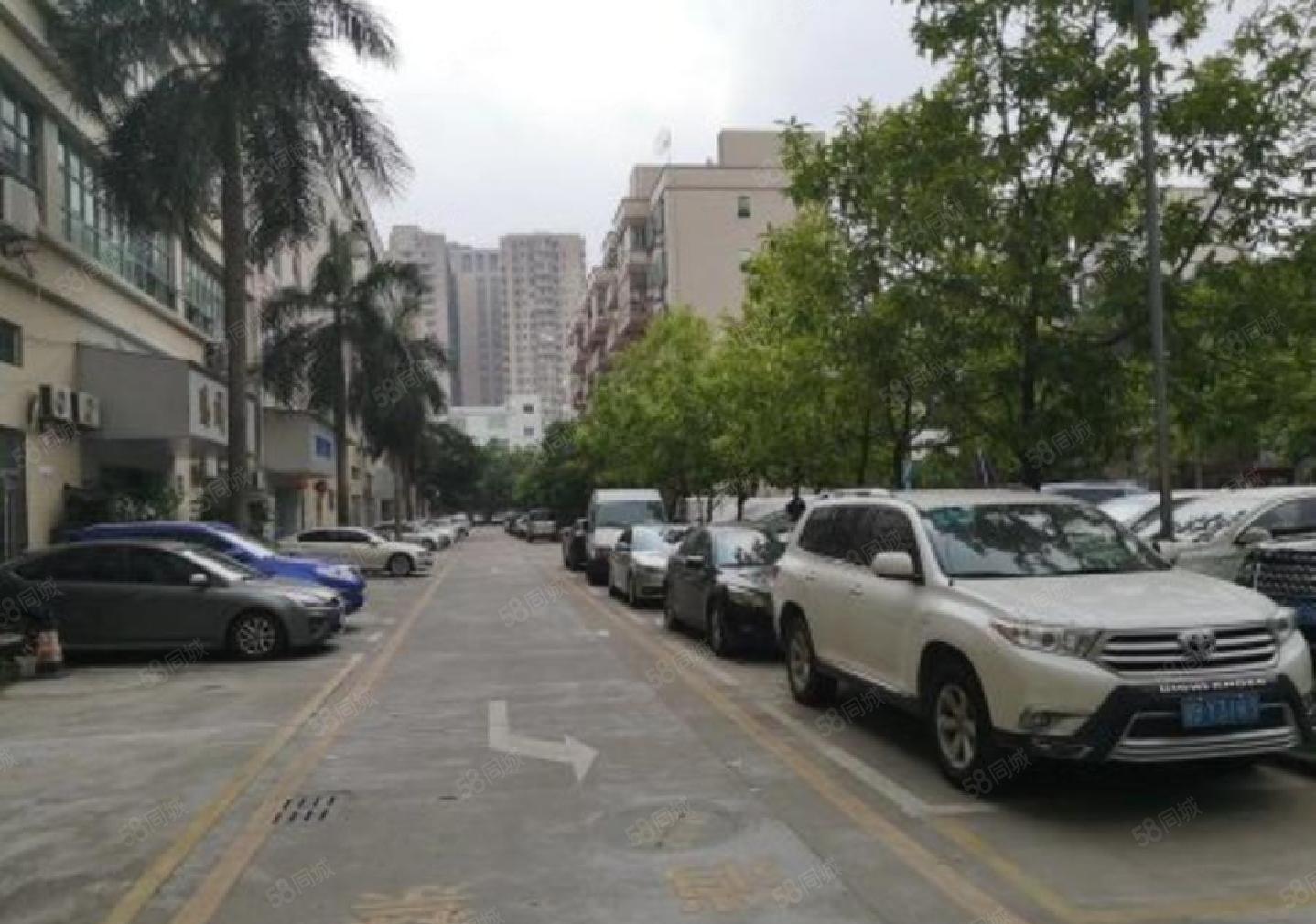 龙华大浪精装修厂房出租1650平可分租工业园一楼仓库出租空地