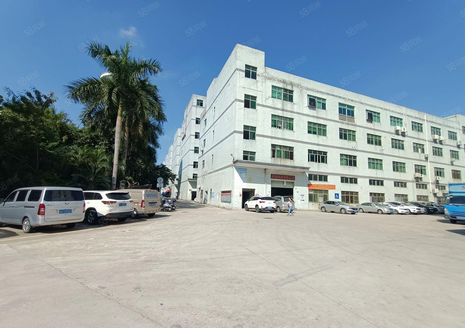 观澜福民工业园楼上1400平米厂房出租面积实在有地坪漆空地大