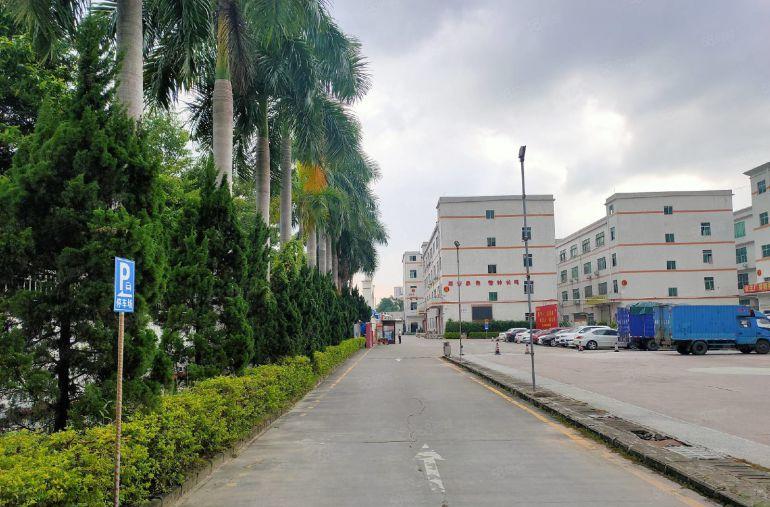 龙华观澜精装修1200平厂房出租 可分租 工业园低价仓库出租