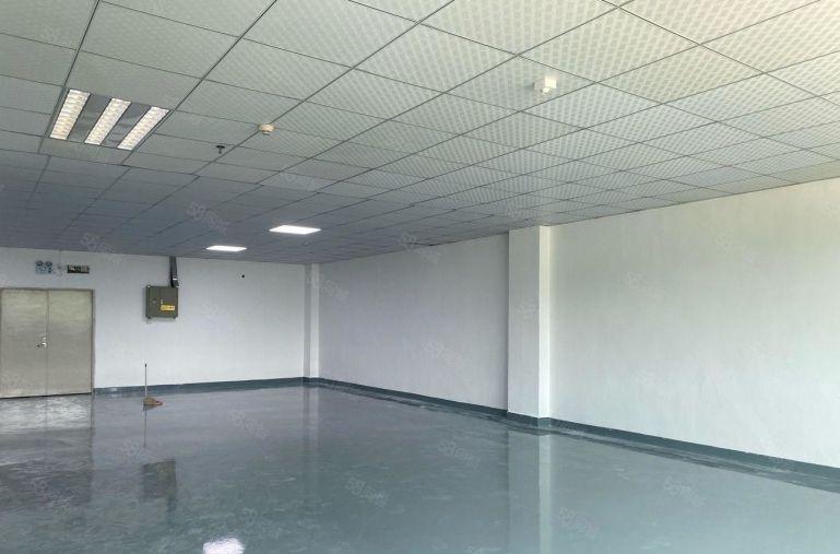 观澜福民小面积厂房200平320平420平520平仓库精装修