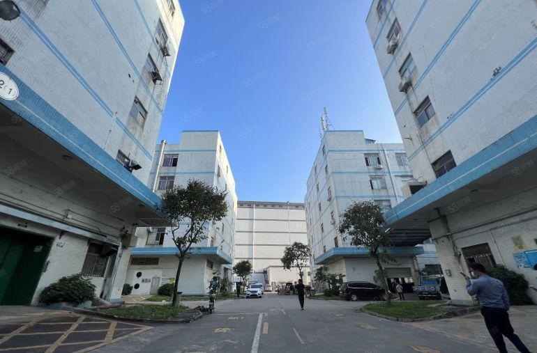 龙华民治工业园一楼原房东厂房800平方出租配套成熟带消防喷淋