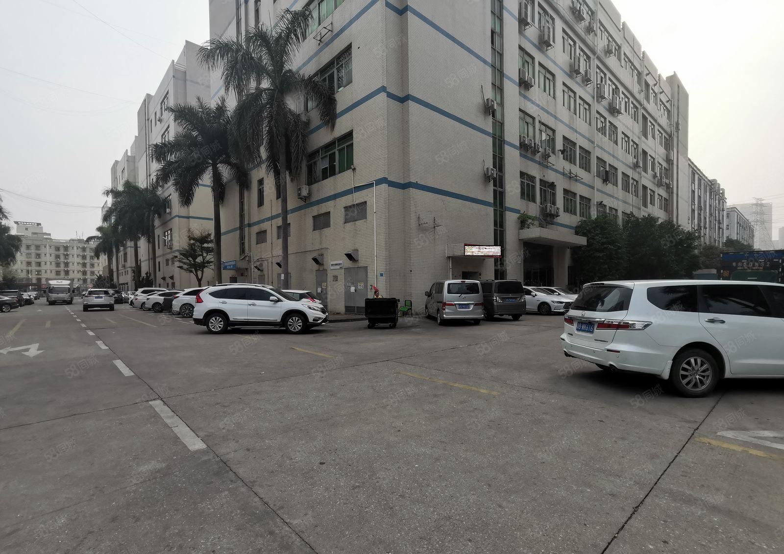 龙华大浪上横朗工业园1200平精装修办公室仓库厂房出租可分租