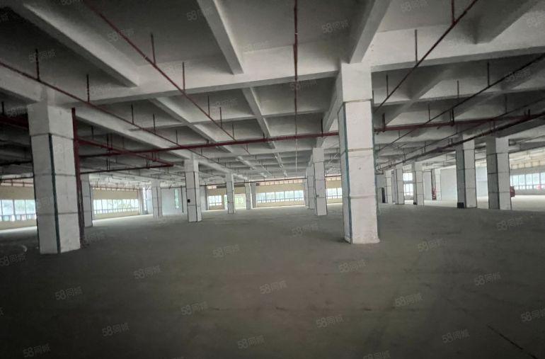 龙华元芬地铁口高6米厂房3000平方仓库出租带卸货平台好招工