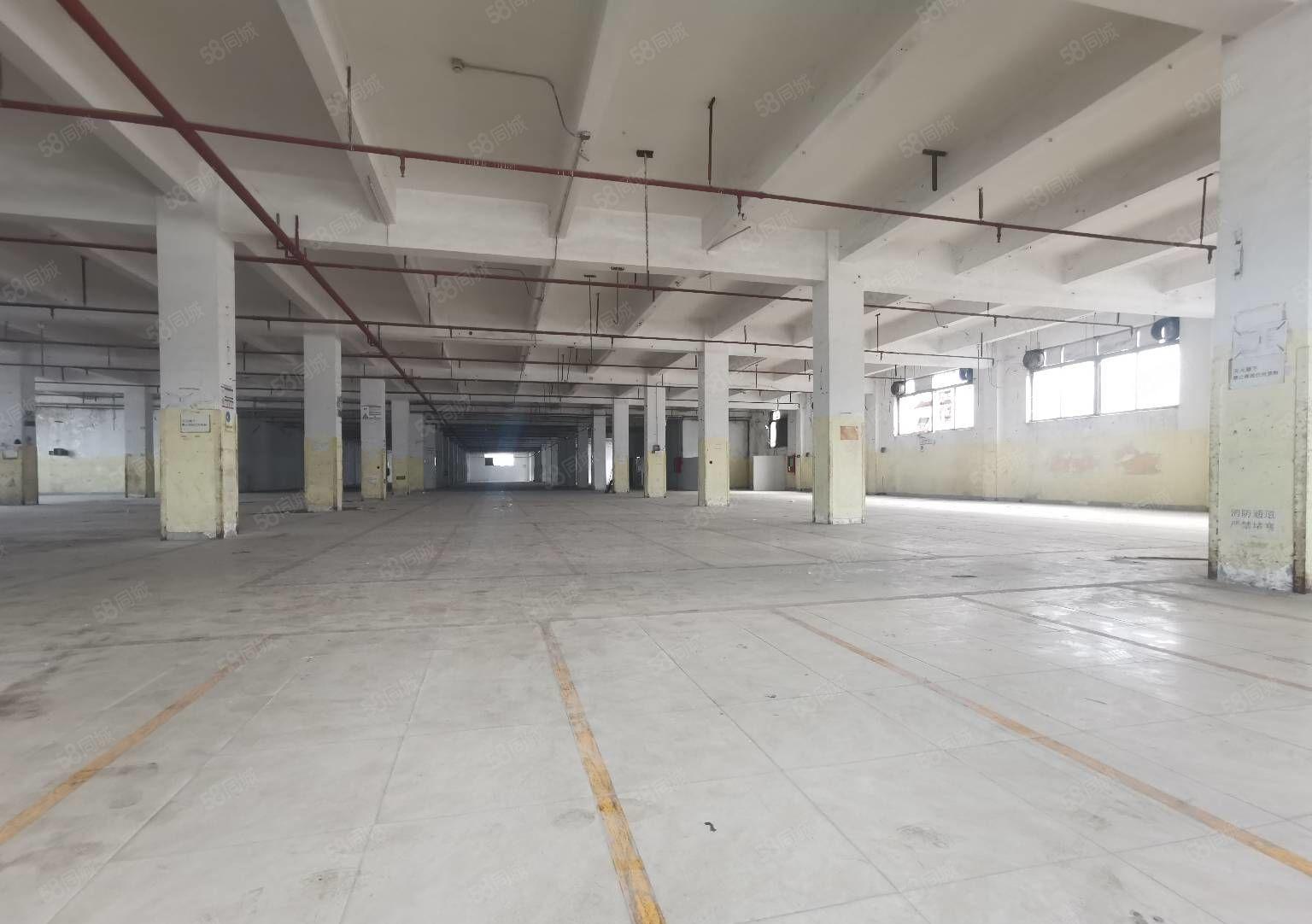 出租，清湖工业区5100平红本厂房出租，带卸货平台空地超大