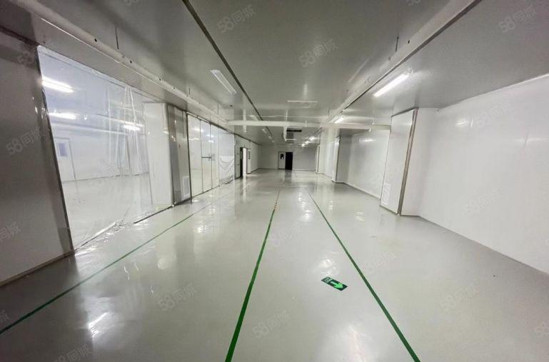 龙华观澜大水坑原房东精装修2000平厂房仓库出租