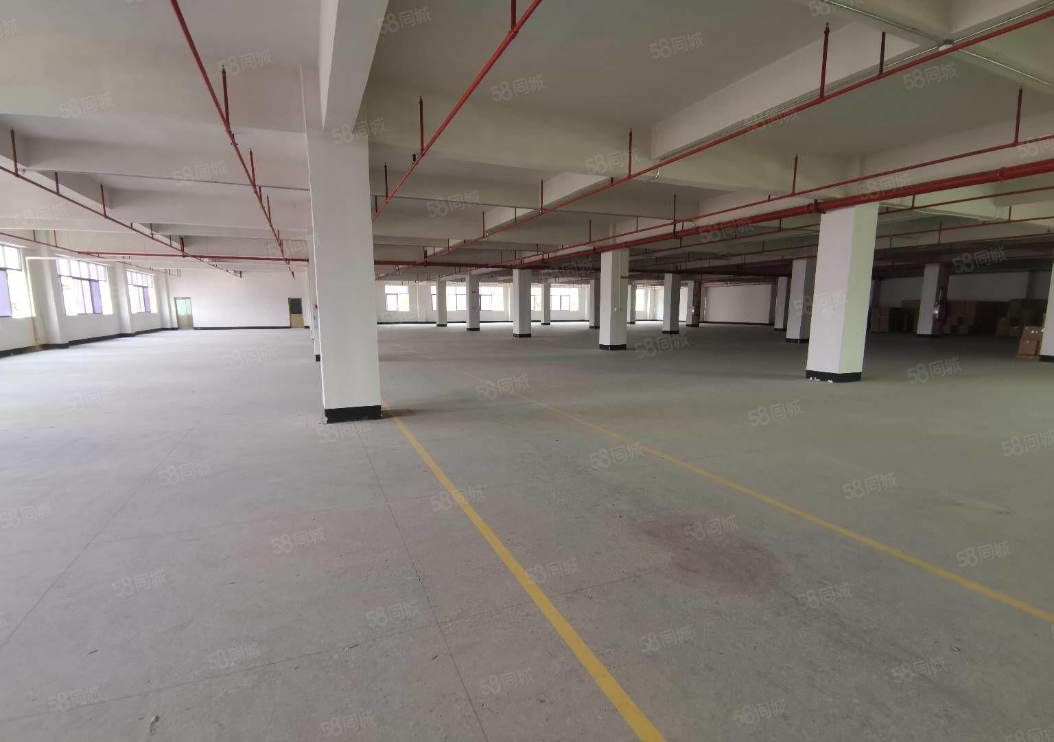 28元起龙华大浪原房东厂房仓库5000平500平起租，地铁旁