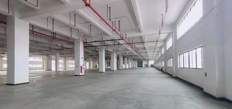 赠！免租期 龙华大浪新出标准厂房 大小面积可分 厂房仓库出租