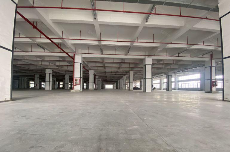 龙华大浪低价仓库生产研发办公厂房出租200平起分租定制精装修