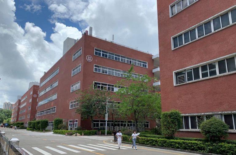 1000平起租龙华新出2万平方一二楼厂房仓库出租大小面积分租