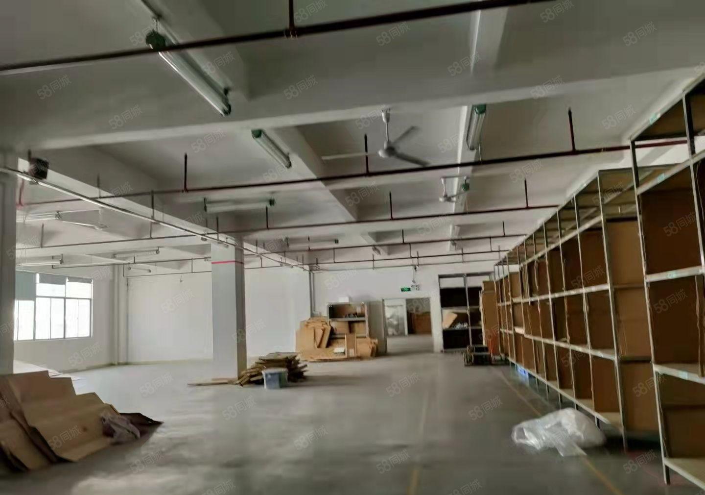 龙华大浪新百丽附近楼上2244平工业厂房出租