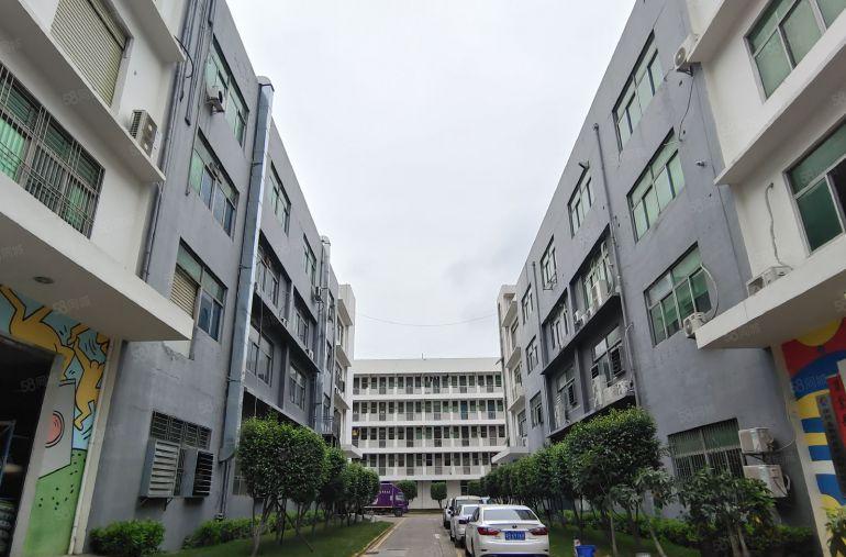 18块起观澜厂房出租办公仓库200平起租可定制装修主干道边