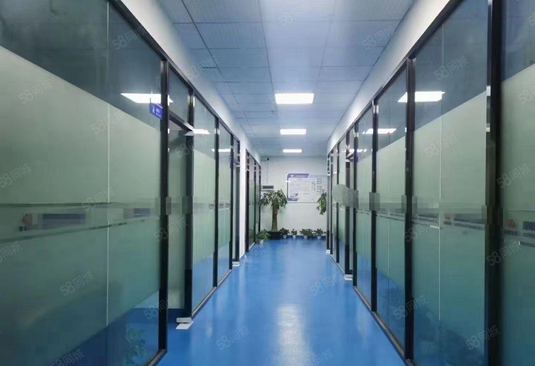 龙华大浪红本精装修1100平厂房出租带无尘车间可分租仓库出租