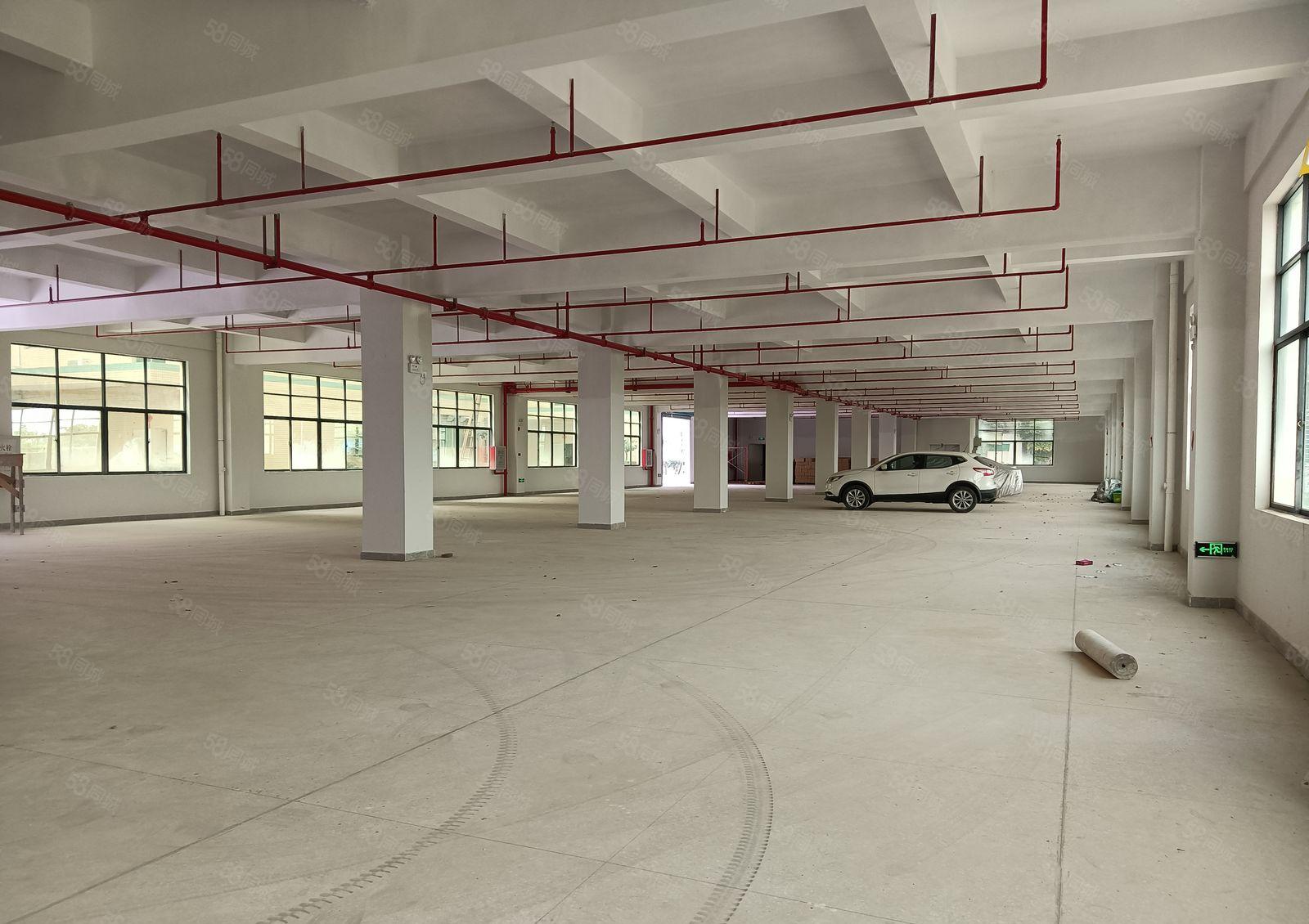 观澜章阁原房东红本厂房仓库2000平出租500平起租19元