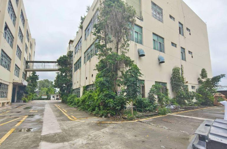 200平起租油松主干道独院厂房5000平厂房仓库出租可办环评