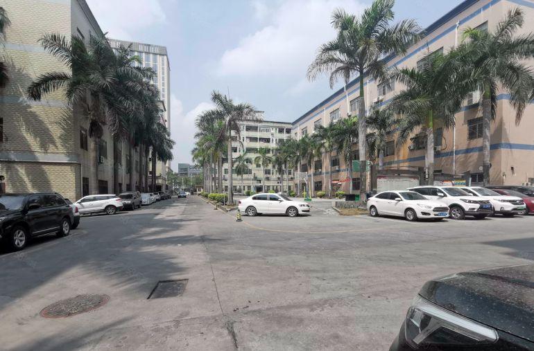 观澜牛湖300至1000平原房东独院精装修一楼仓库厂房出租