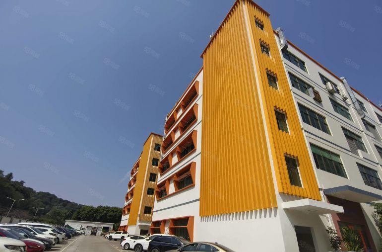 龙华大浪阳台山东地铁口300平小面积精装修可办公厂房低价出租