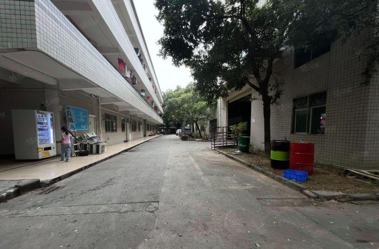 观澜原房东独院花园式厂房8500平方电商仓库出租一楼上可分租