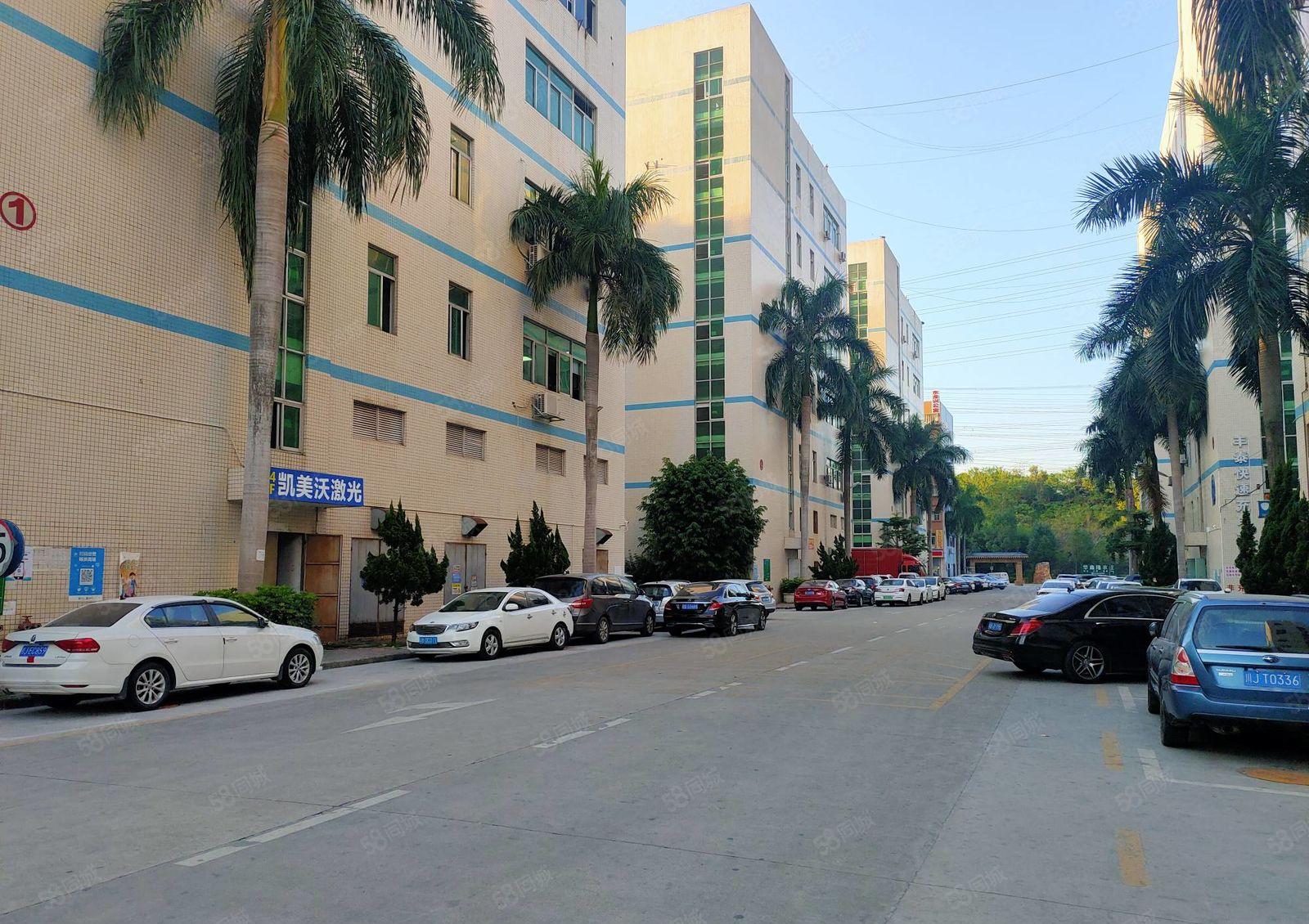 观澜工业园精装修2000平厂房出租可分租空地大一楼仓库出租