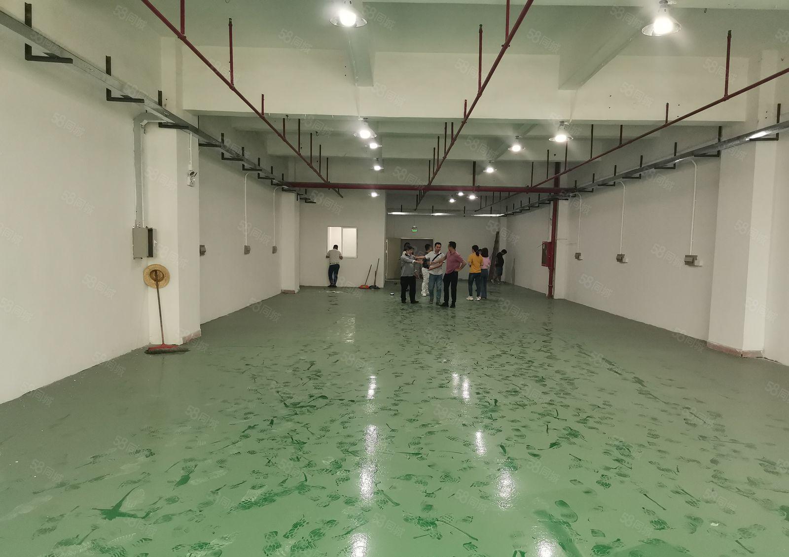 观澜新田原房东楼上400平精装修原房东带红本水电齐全厂房出租