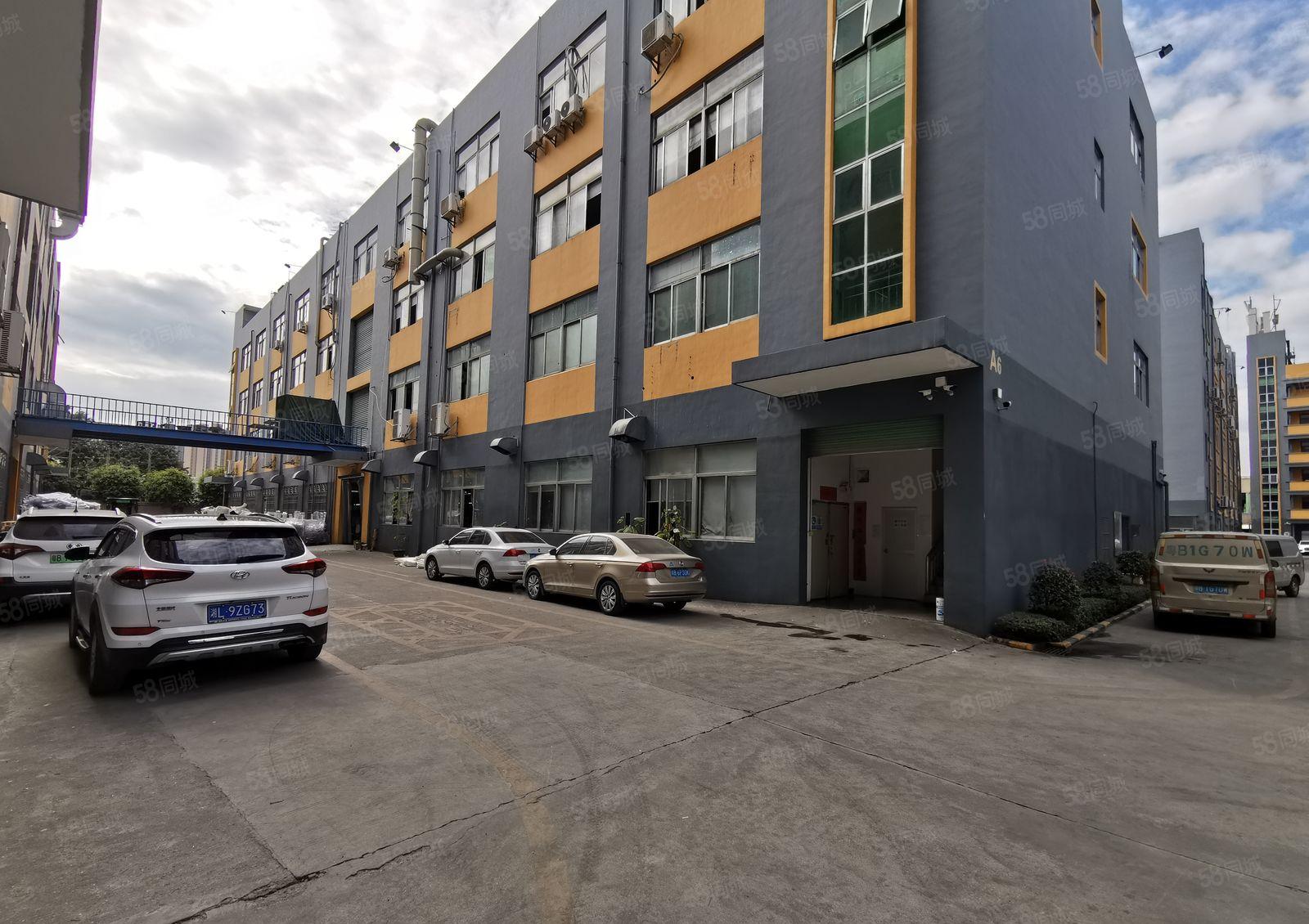 观澜章阁新出一楼标准厂房2000平出租大小可分组层高6米