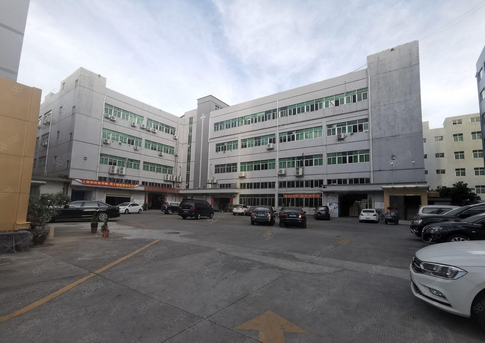 龙华上横朗500至1000平原房东整层精装修厂房出租可办环评