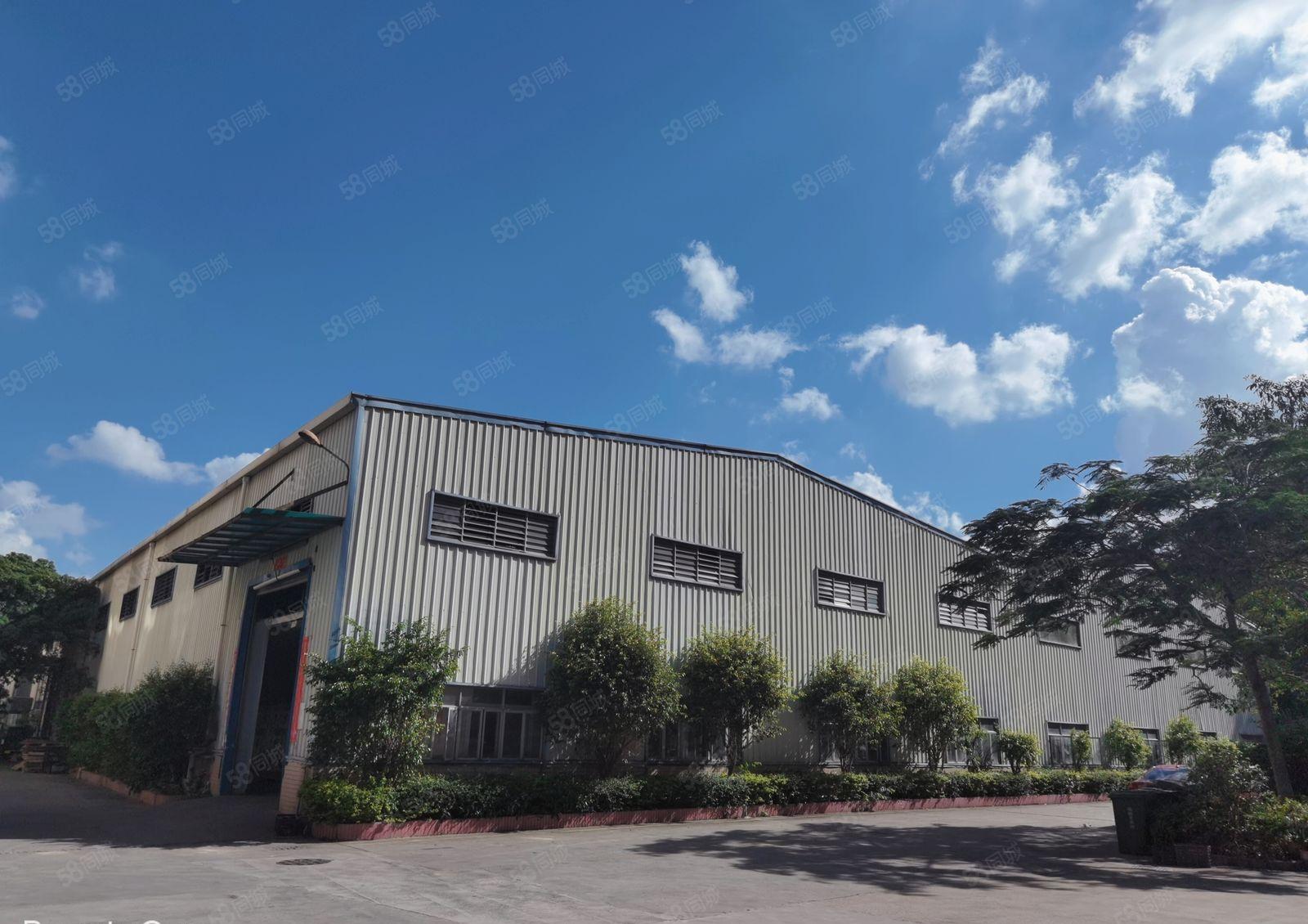 观澜主干道边新出单一层滴水8米钢构6000平米带隔热层