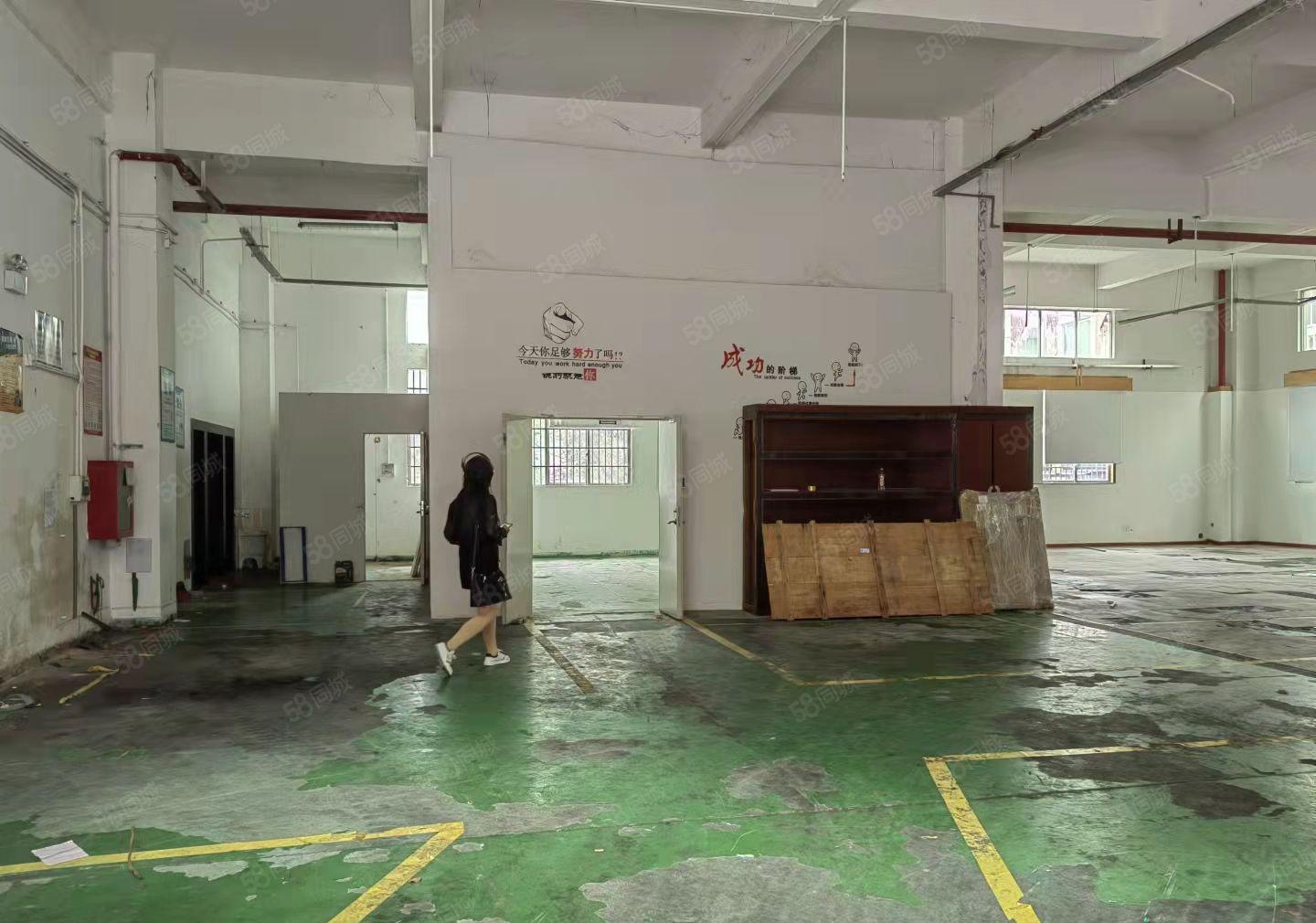 深圳龙华大浪浪口工业区1楼550平工业厂房出租。