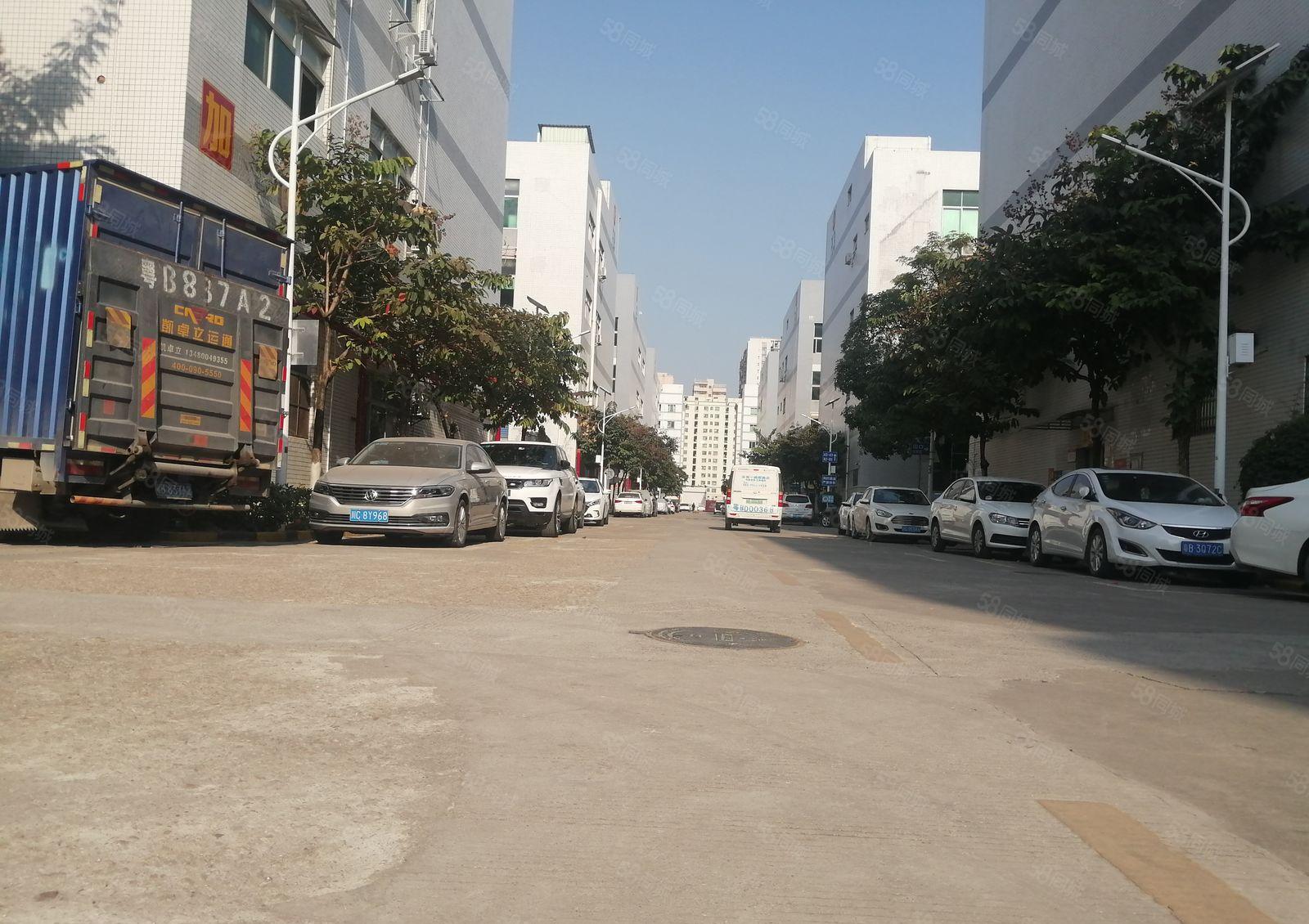 1000平观澜大富工业区原房东九成使用率，周边人流量多好招工