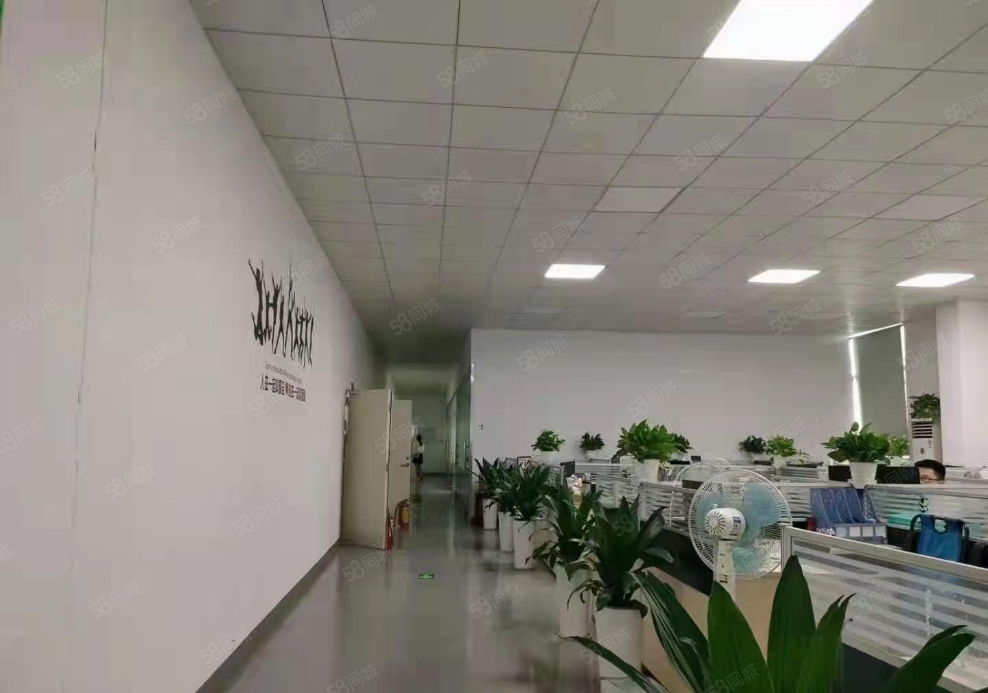 大浪龙泉科技园新出810平厂房出租(可分租)