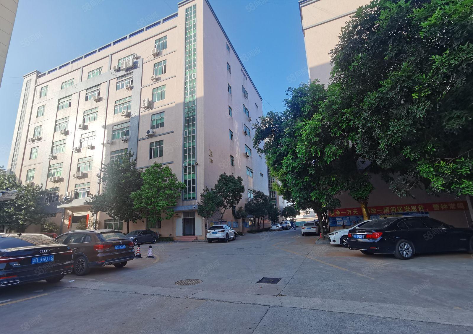 章阁主干道边原房东大型园区楼上带装修厂房出租，面积550平米