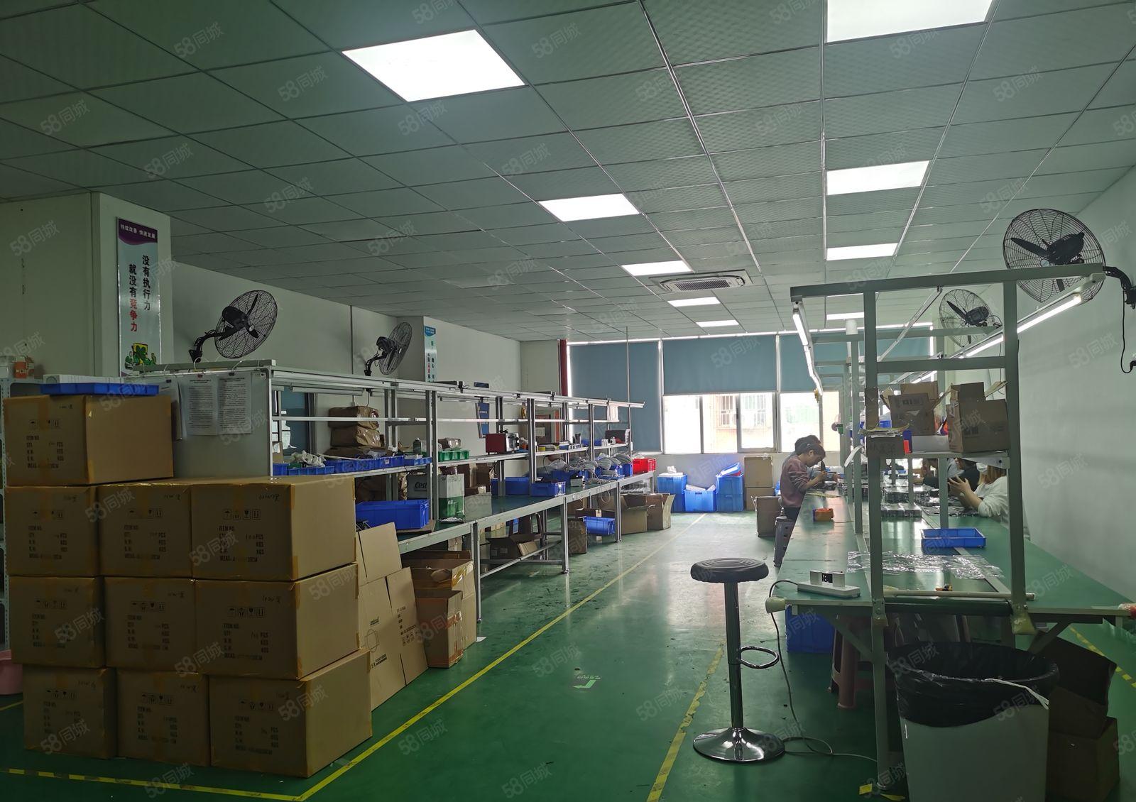 大浪商业中心附近新出450平原房东厂房精装修，形象好使用率高