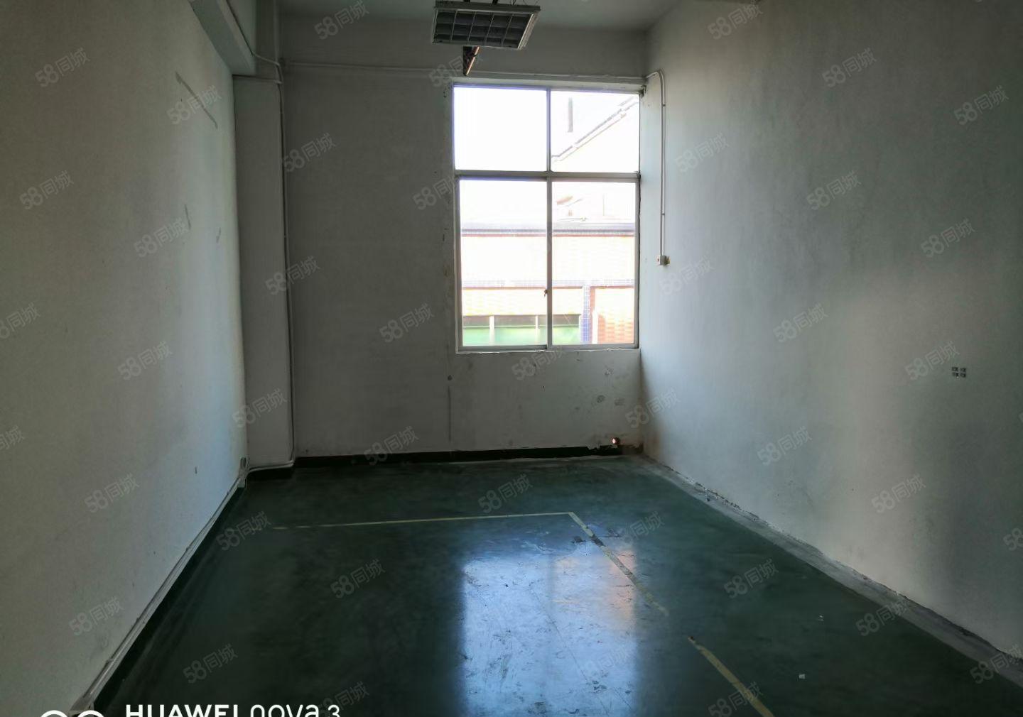 大浪2楼，整层，整层厂房550平，精装出租