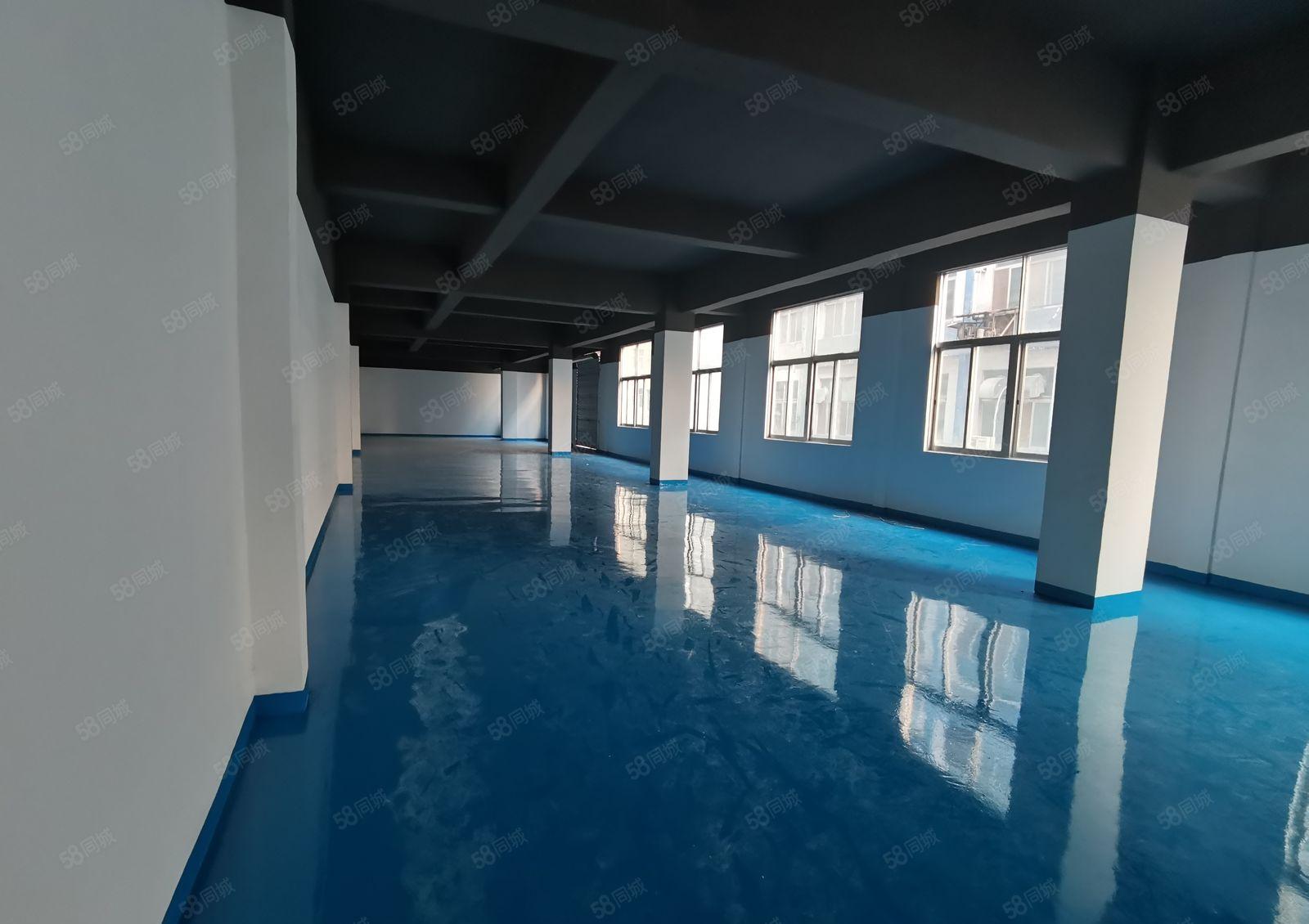 龙华独院独栋厂房低价出租一楼仓库出租可分租小面积冻库无尘车间