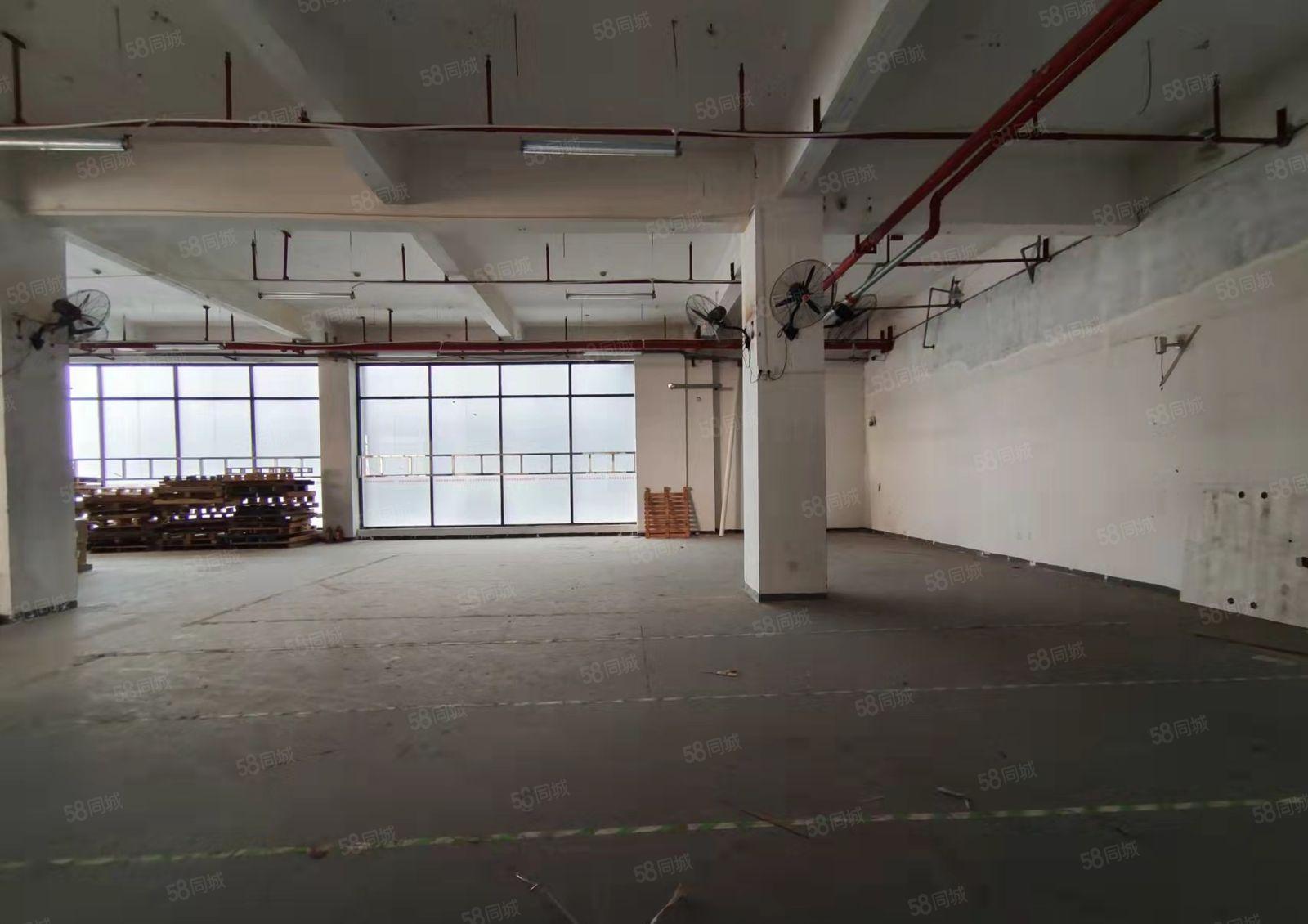 油松第二工业区新出一楼物流厂房540平分租，使用率高水电齐全