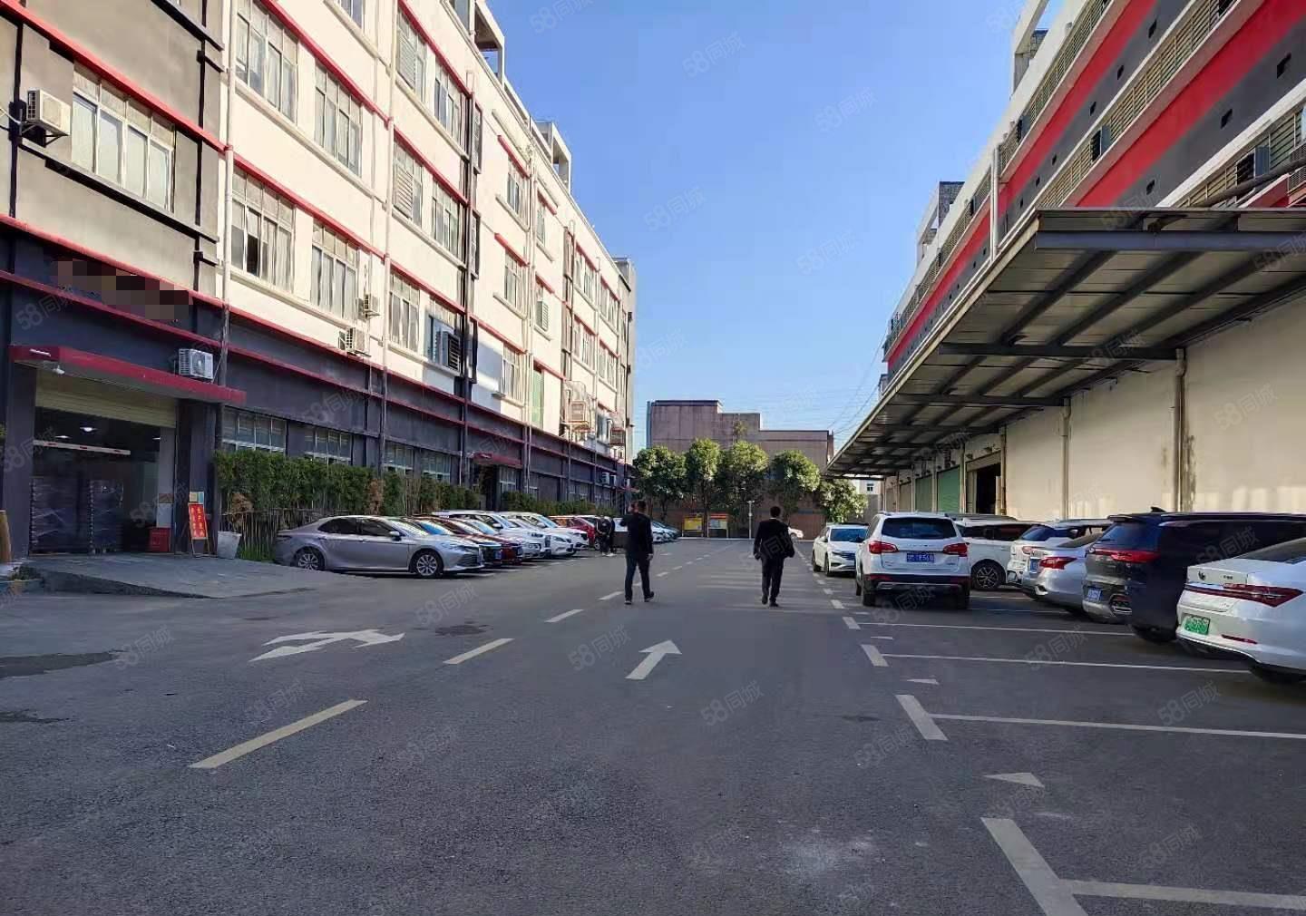 观澜樟坑径五和大道旁新出800平带办公室精装修厂房业主直租