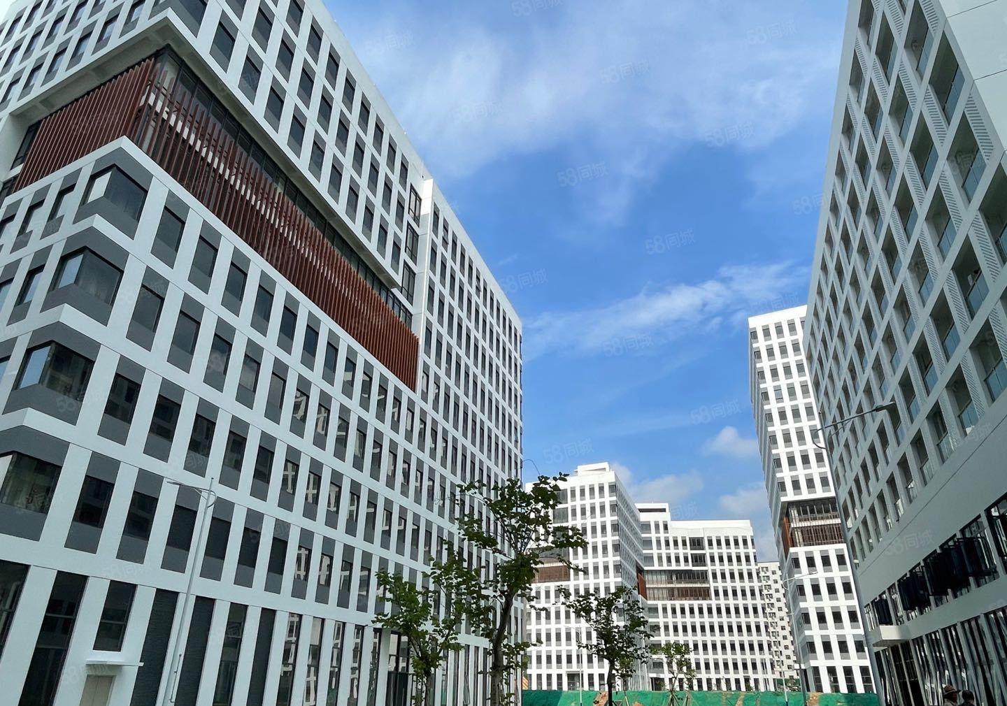 观澜全新红本厂房4栋共12万平单层面2000平500平起分租