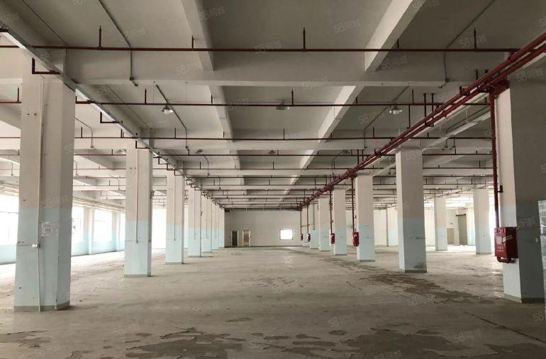 观澜大水坑一房东一楼2500平空地大可分租厂房仓库低价出租