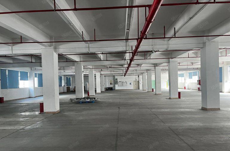 30元原房东花园式独门独院9600平，500平起可分组空地大