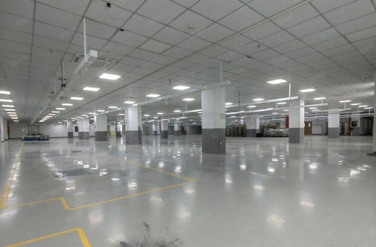 龙华大浪2000平楼上豪华装修红本仓库厂房出租，300平起分